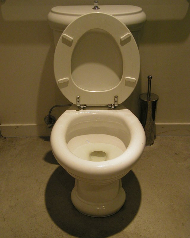 Toilet